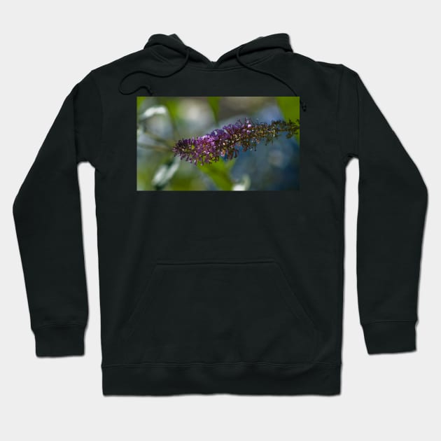 Butterfly Flower Hoodie by DeborahMcGrath